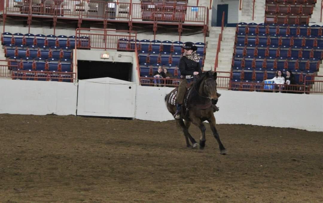 Horse World Expo