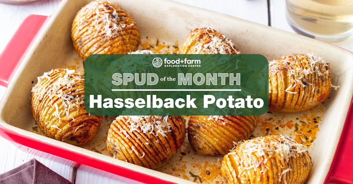 Spud of the Month: Hasselback Potato