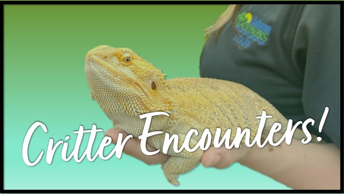 Critter Encounters! 