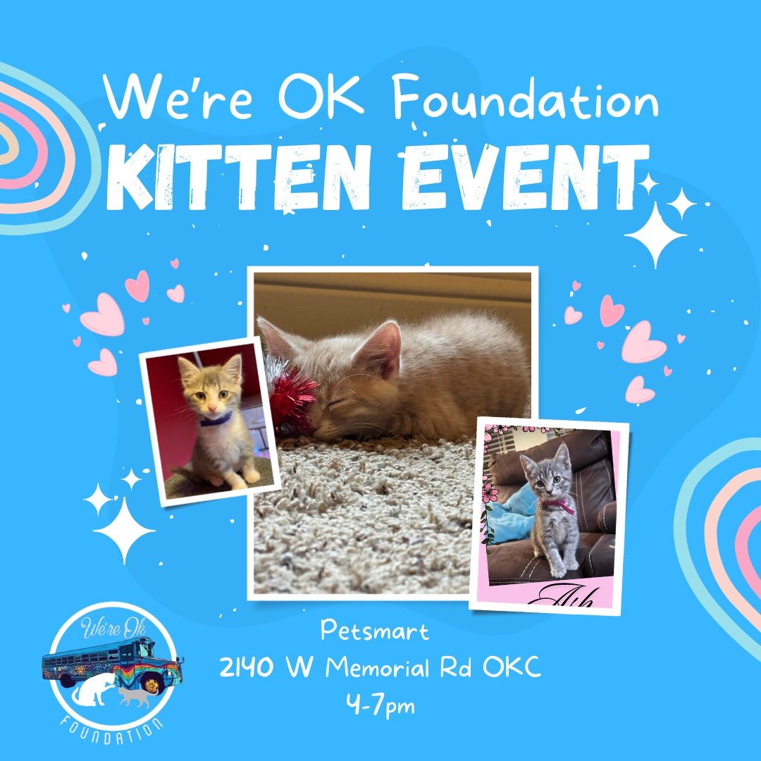 We\u2019re OK Foundation Kitten Meet & Greet Event