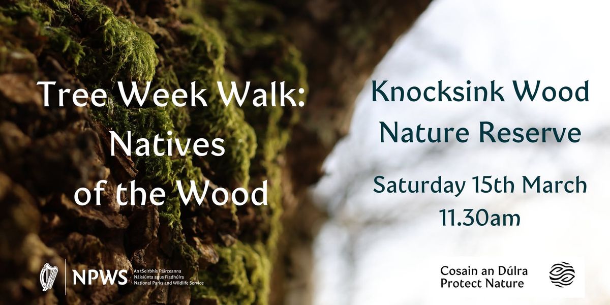 Tree Week Walk: Natives of the Wood