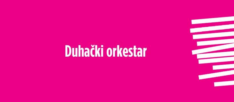 Koncert Duha\u010dkog orkestra Muzi\u010dke akademije