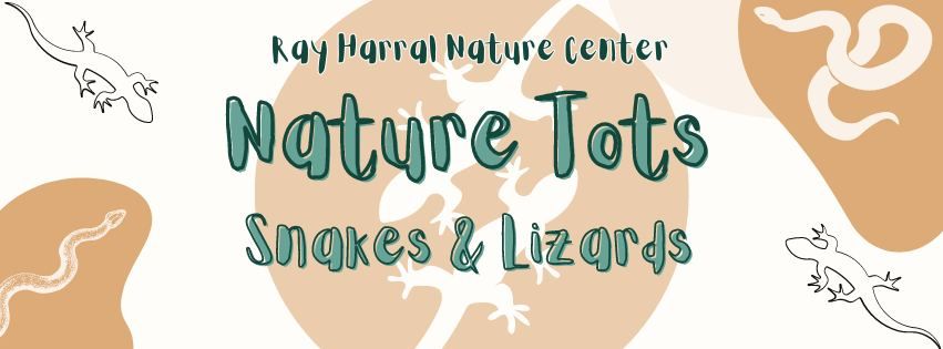 Sold Out - Nature Tots - Snakes and Lizards