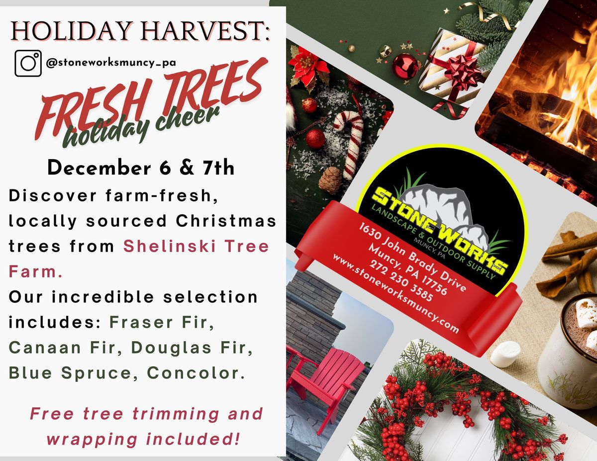 Holiday Harvest: Festive Trees & Cheer