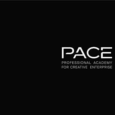 Professional Academy for Creative Enterprise