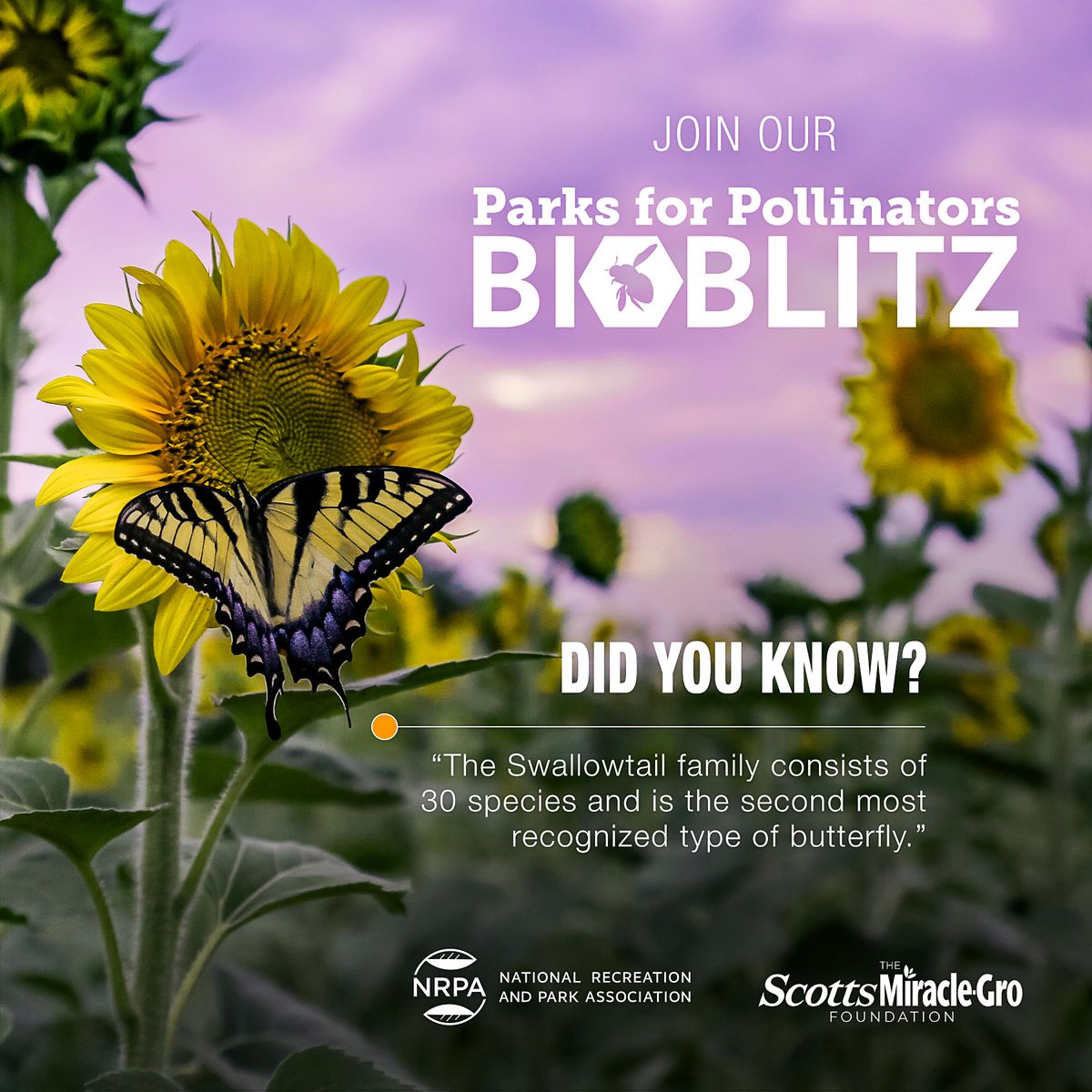 Parks for Pollinators BioBlitz