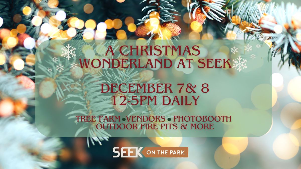 A Christmas Wonderland at Seek Wilderness Accommodations 