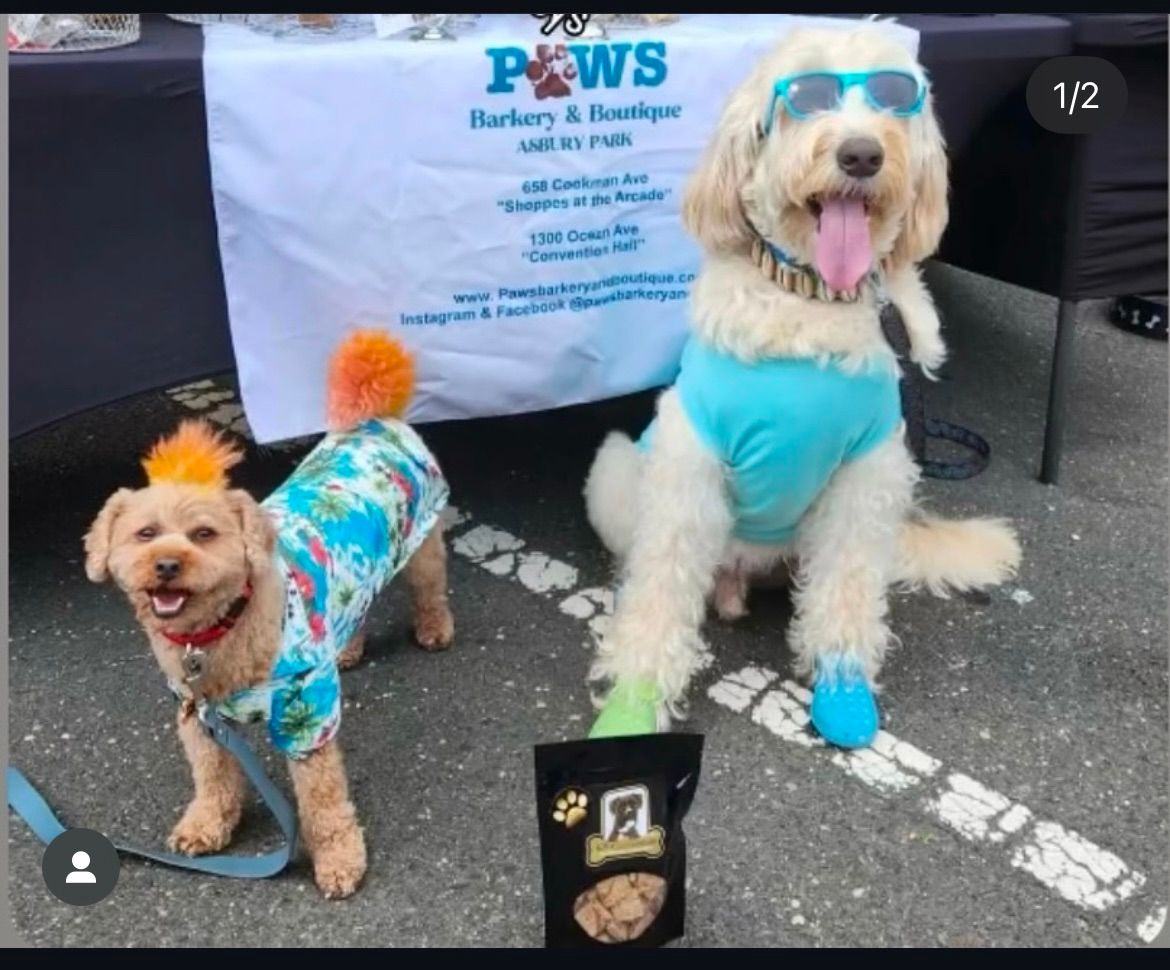 Paws Bakery and Pet Boutique Adoption Event 