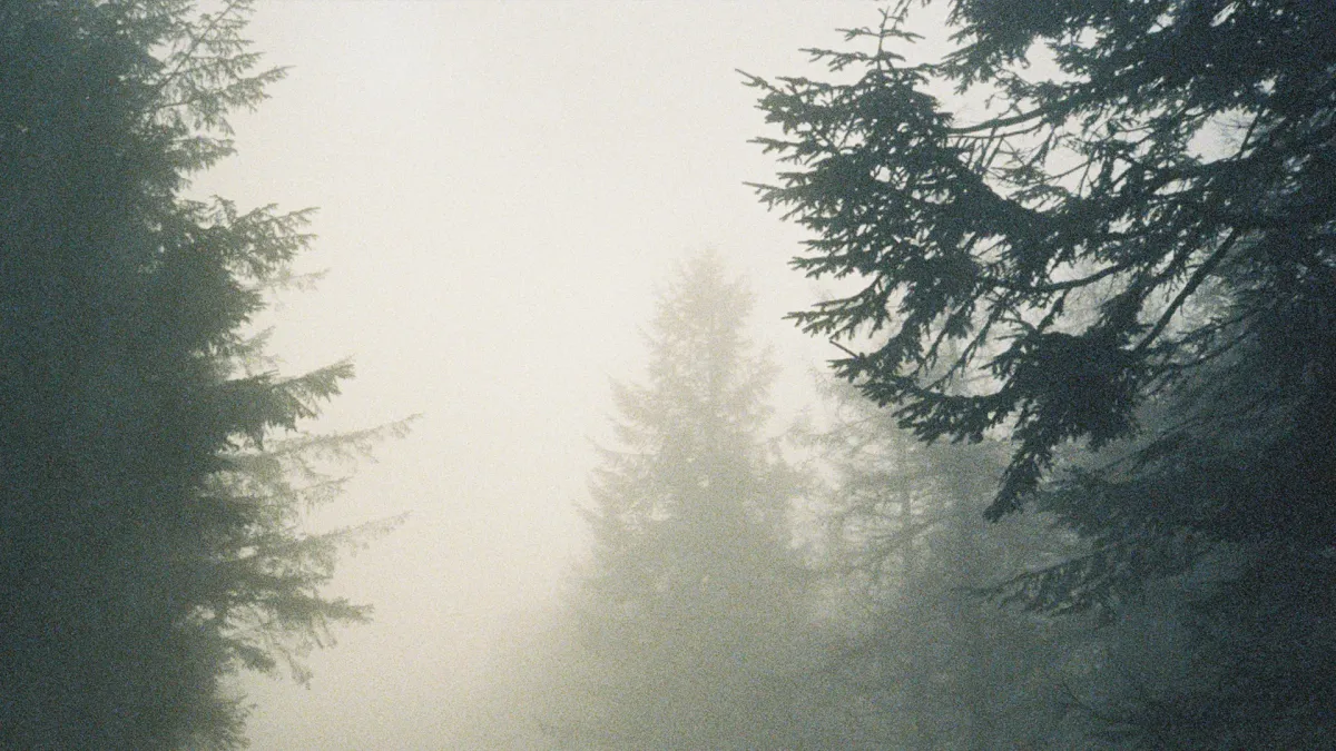 Dermot Kennedy, HAFFWAY in Vancouver