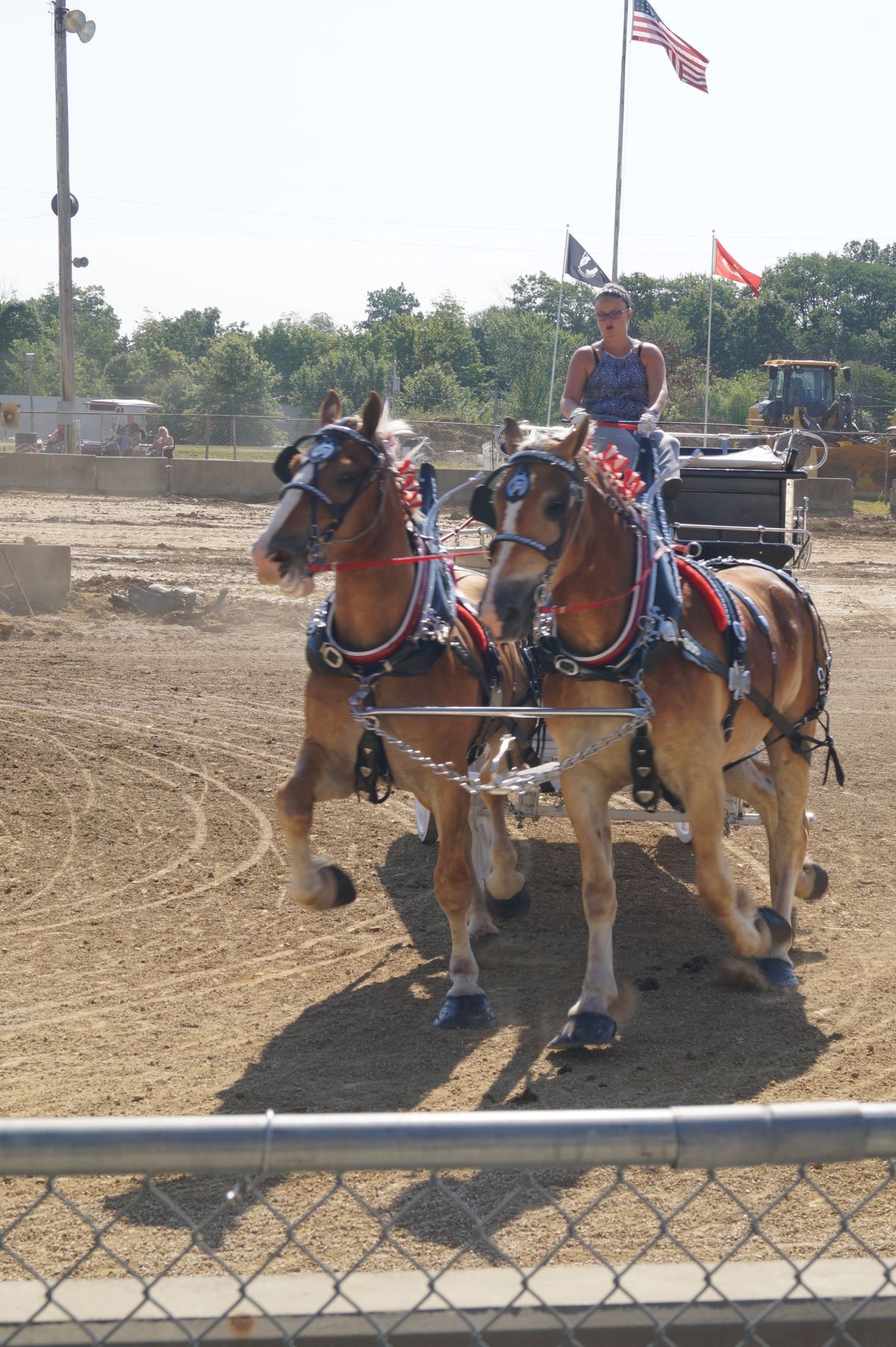 Draft Horse and Pony Hitch Show