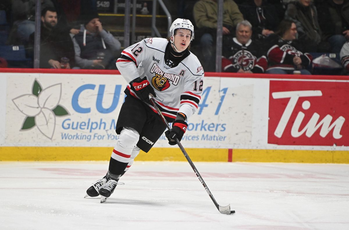 Flint Firebirds at Owen Sound Attack