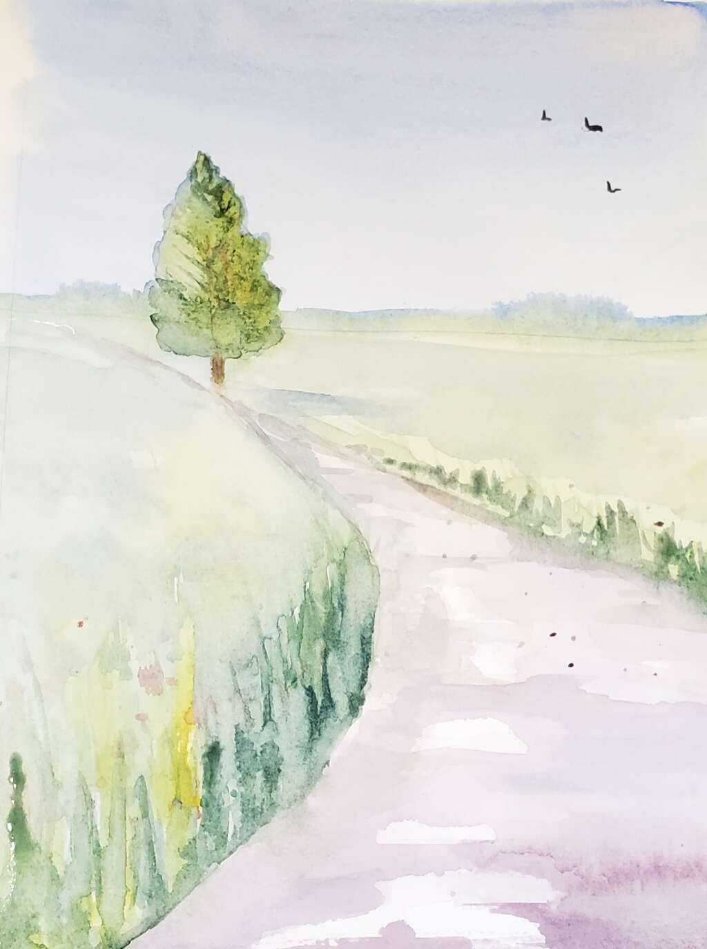 Watercolour for Absolute Beginners