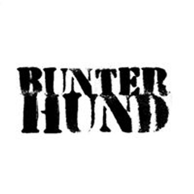 Bunter Hund Zittau