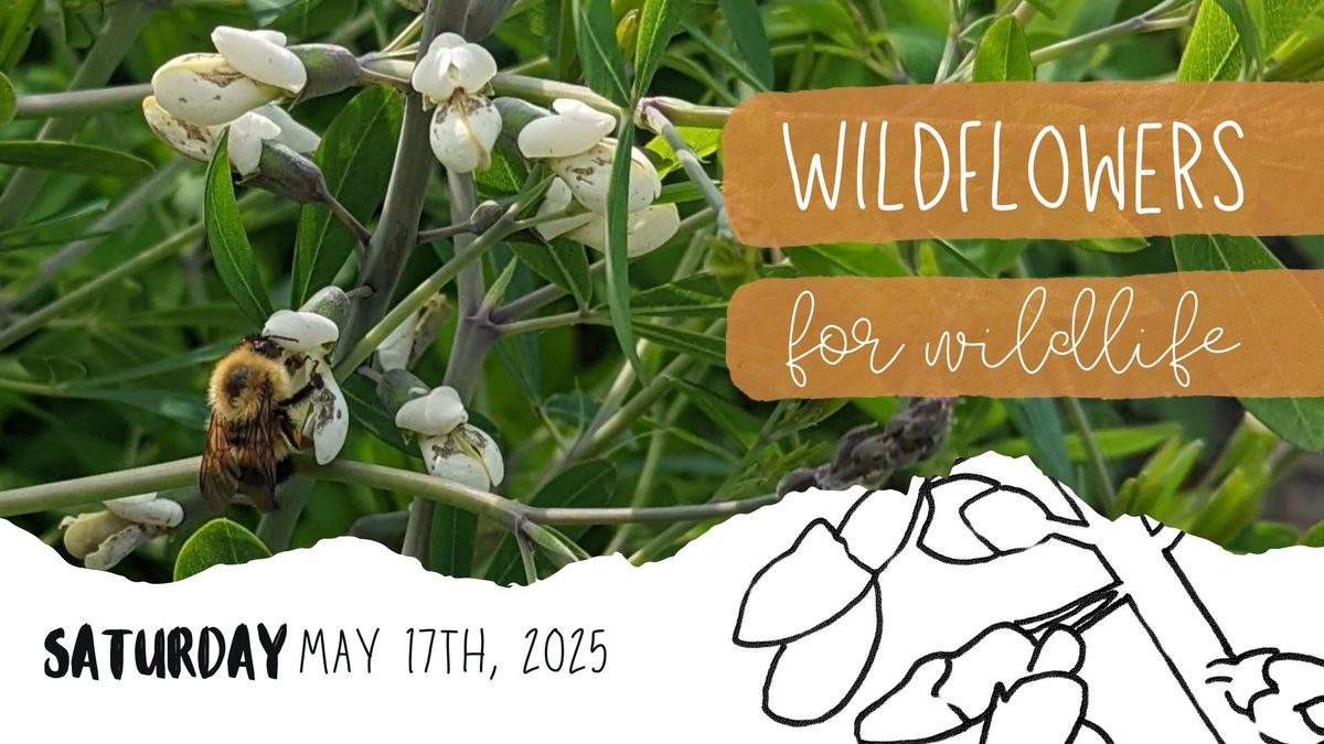 2025 Wildflowers for Wildlife