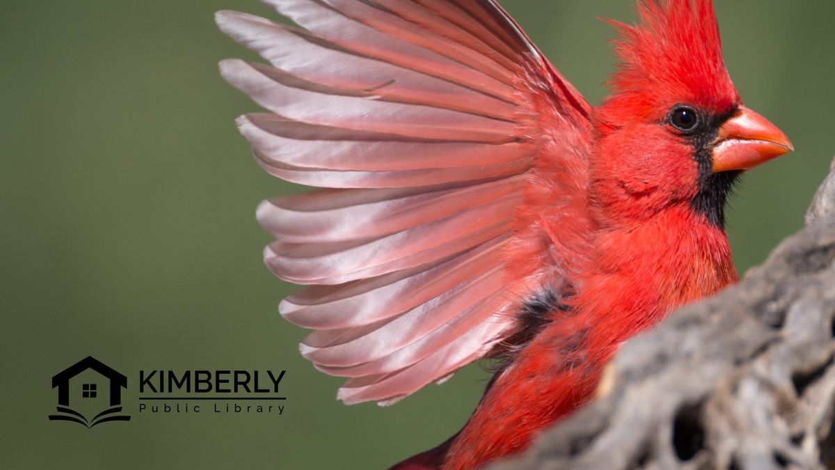 Rob Zimmer Presents: Feeding Wild Birds