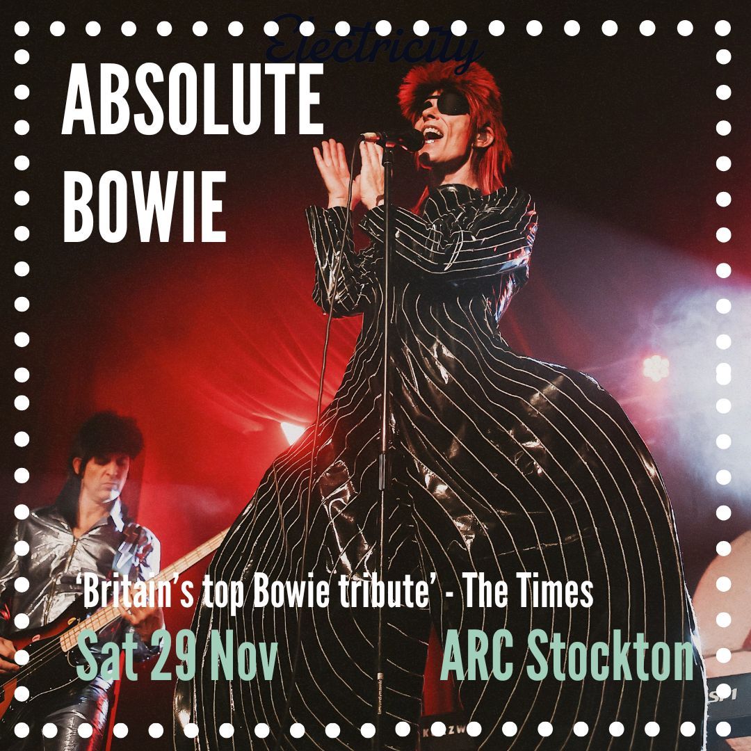 Absolute Bowie | Stockton-on-Tees