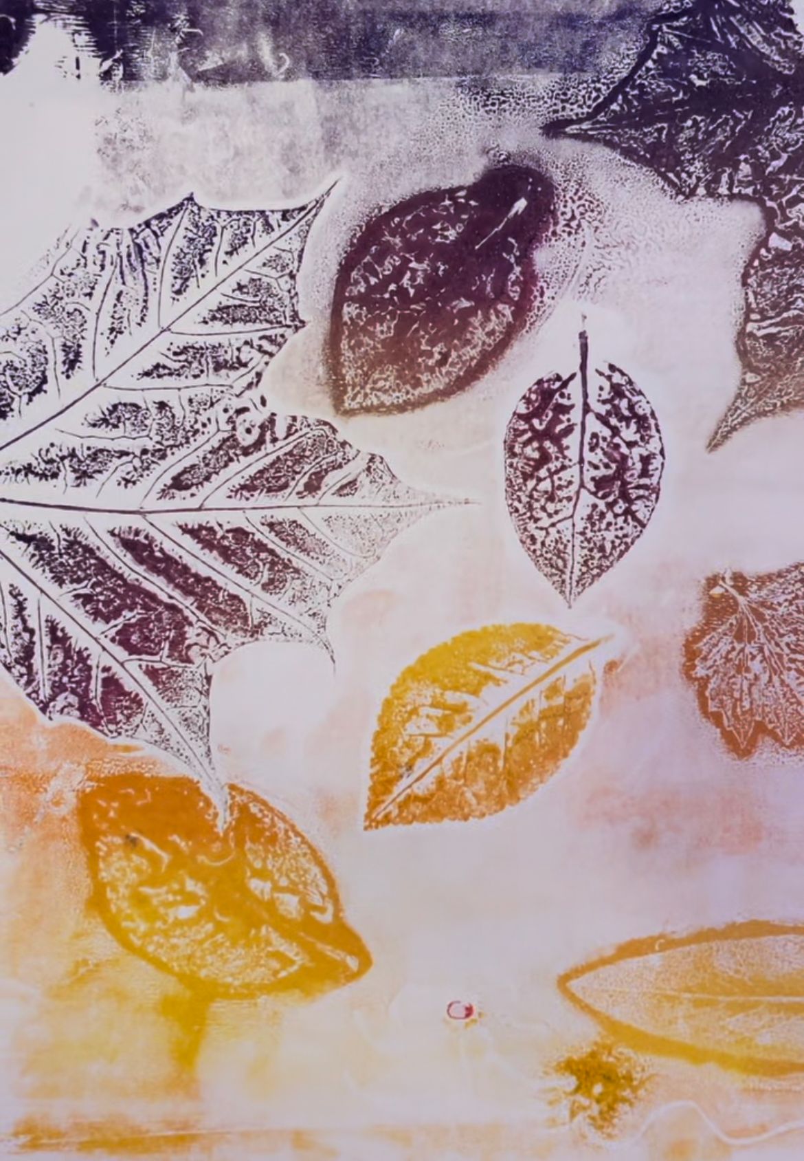 Print Making with Nature