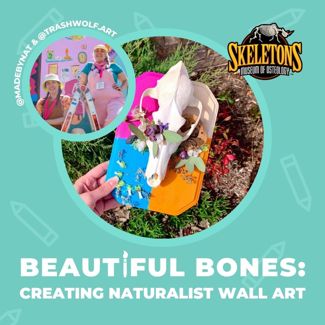 Beautiful Bones: Creating Naturalist Wall Art