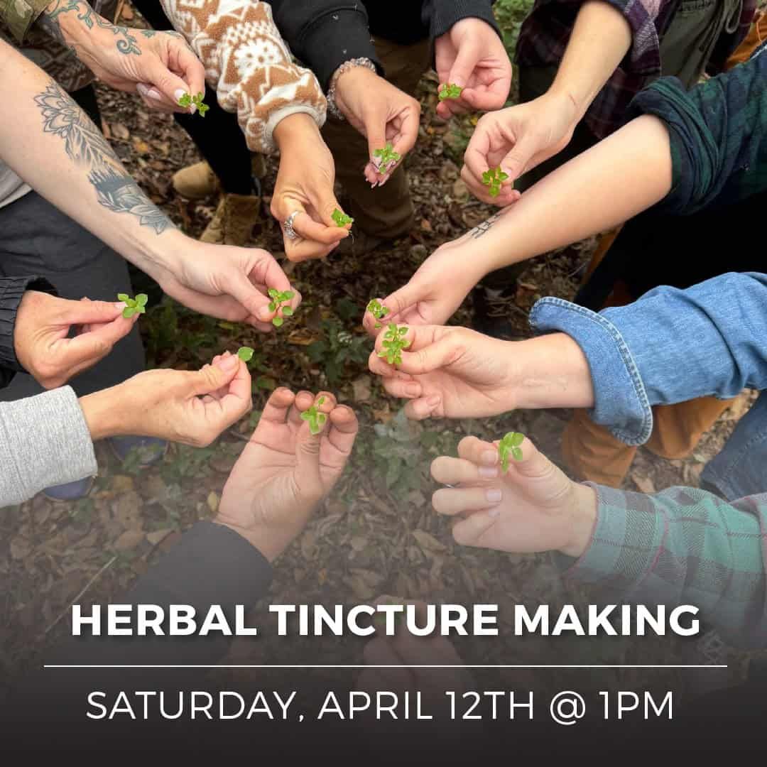 Herbal Tincture Making Class