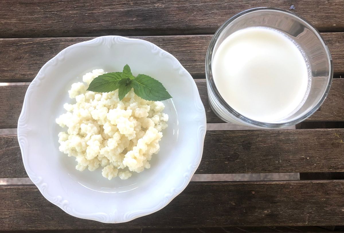 Milchkefir selbst machen