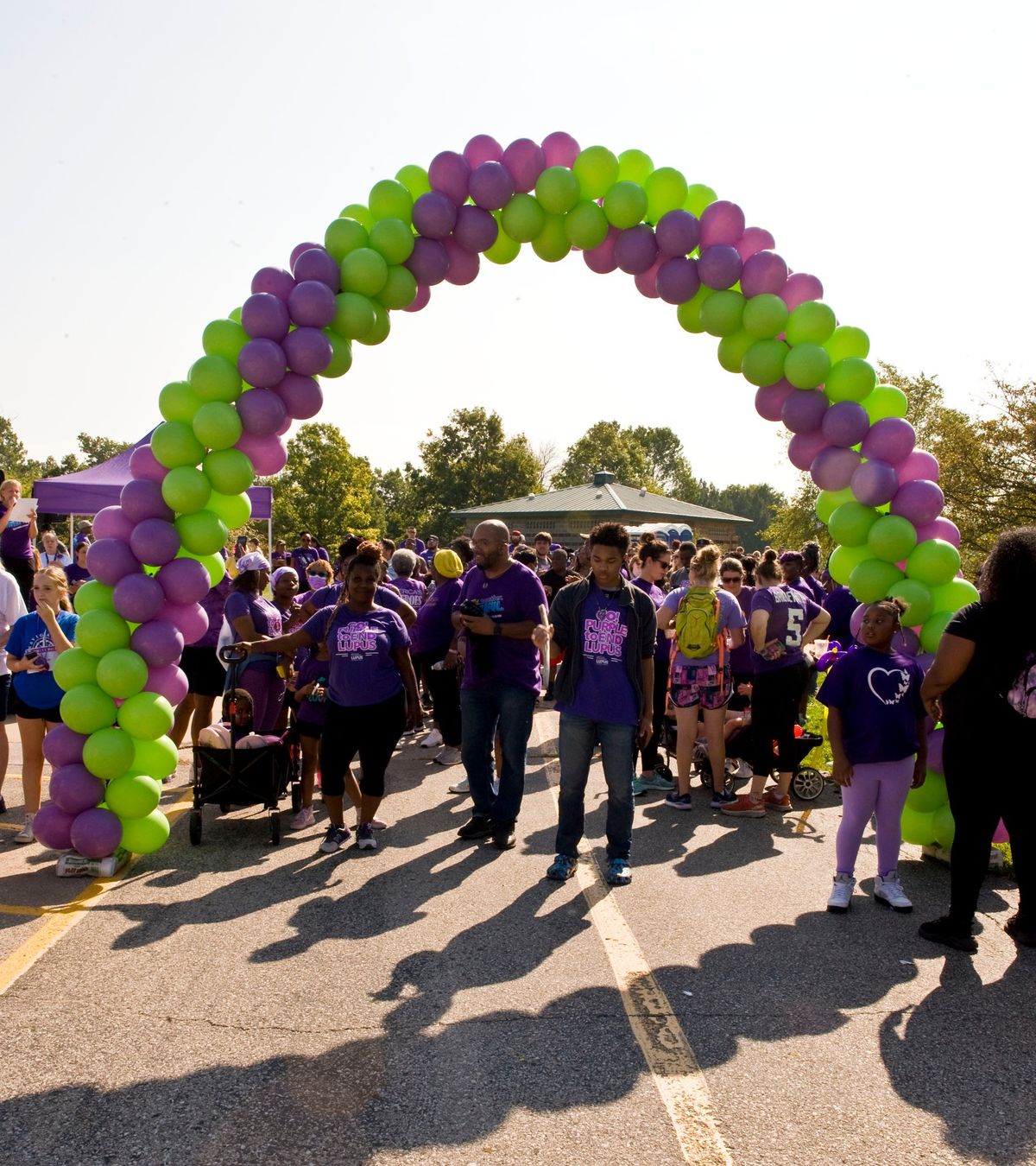 St. Louis Walk to End Lupus Now 