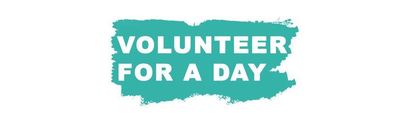 Volunteer for a day