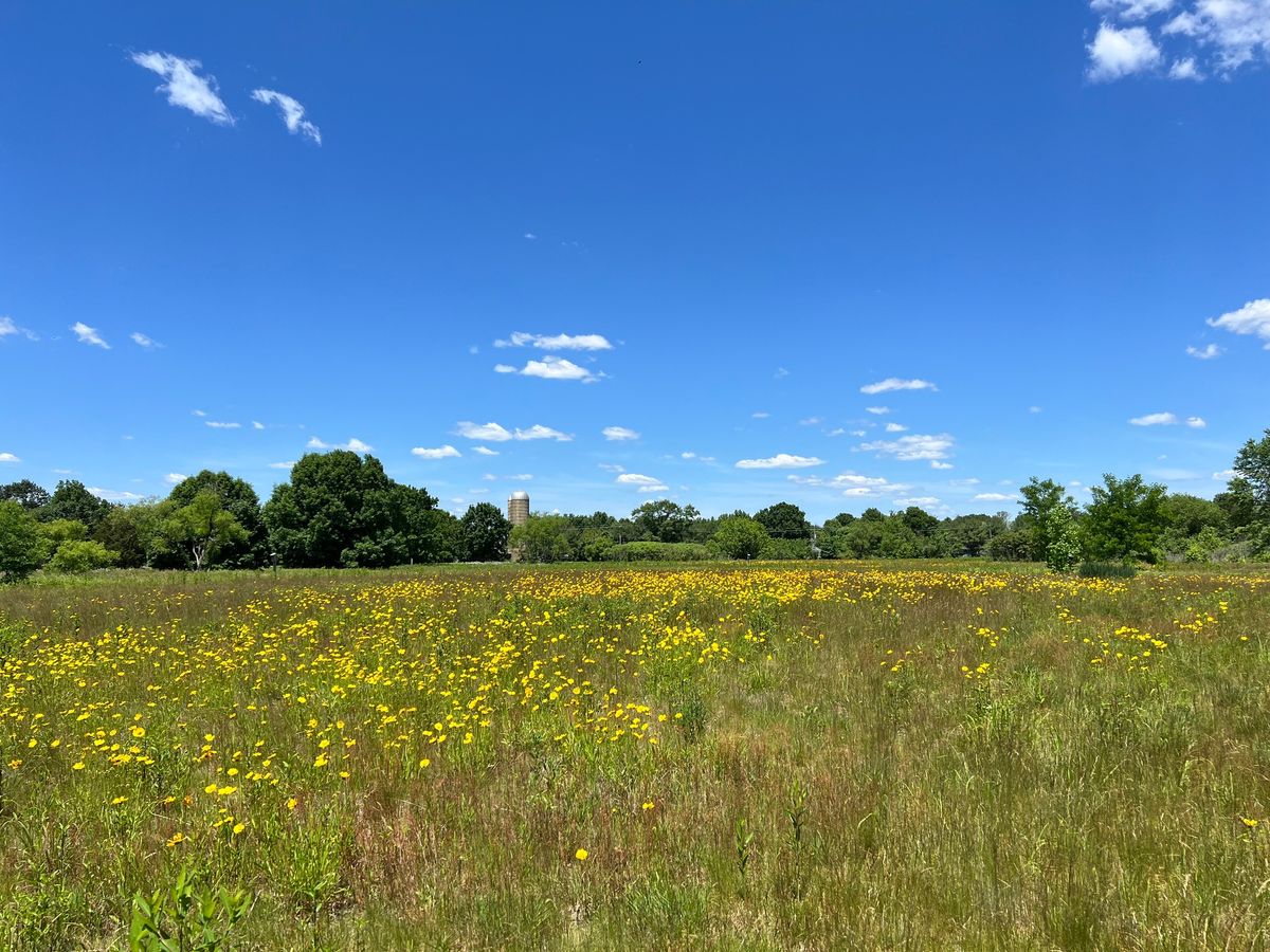 Medford Campus Trail Walk