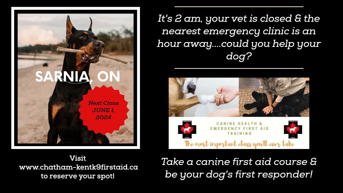 Canine Health & Emergency First Aid - Sarnia