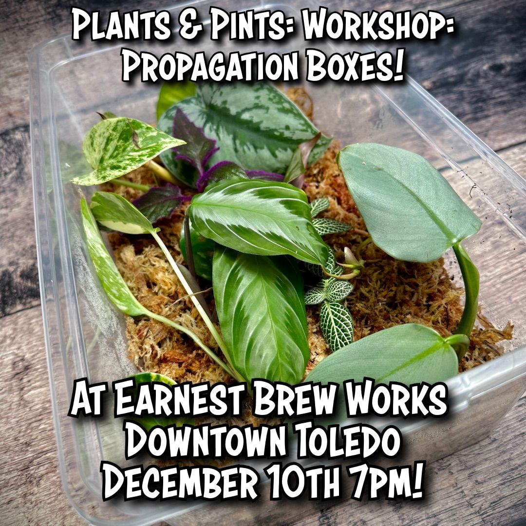 Plants & Pints: Workshop - Propagation Box 