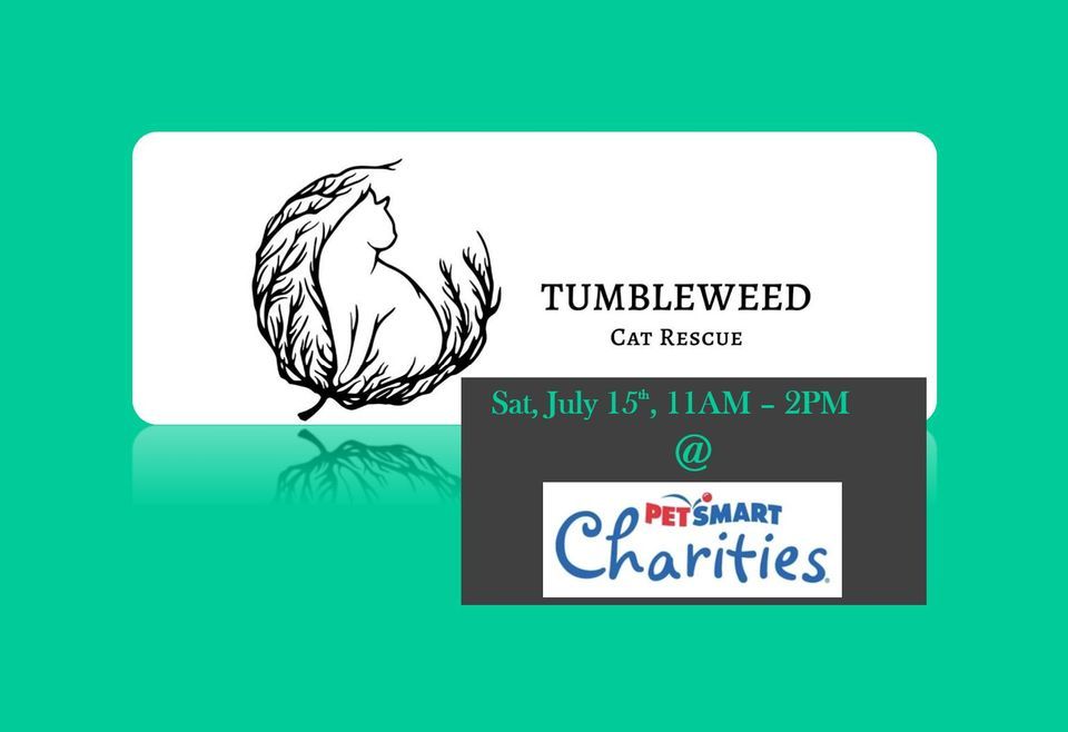 Cat Adoptions (Petsmart) - Tumbleweed Cat Rescue