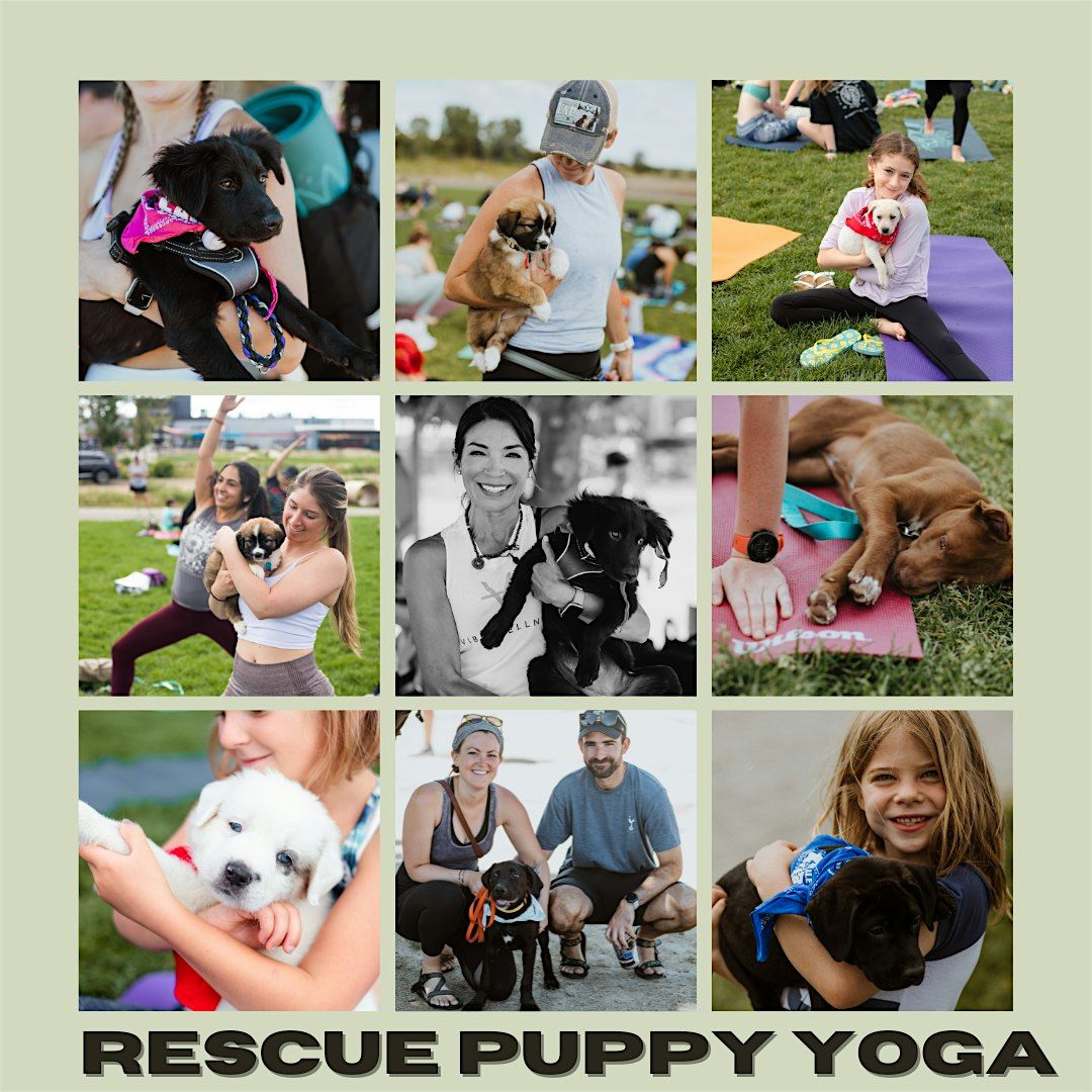 Rescue Puppy Yoga @ Stanley Marketplace!