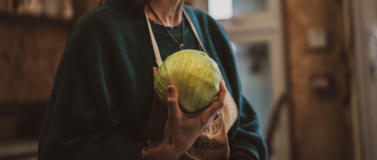 Fermentation and Gut Health Workshop