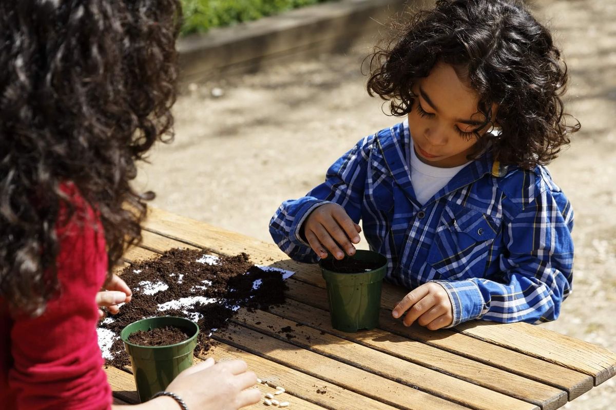 February half term: Plant a seed