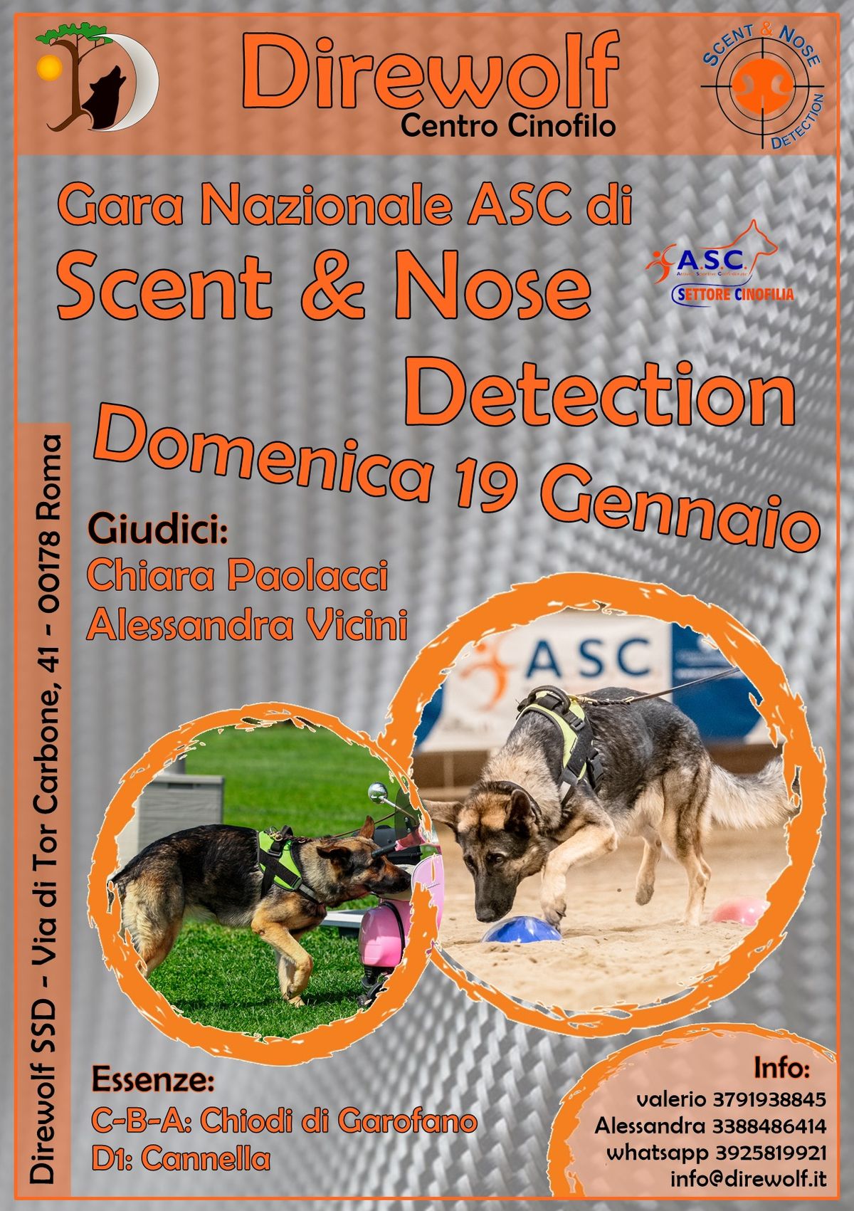 Gara Regionale di Sent&Nose Detection 