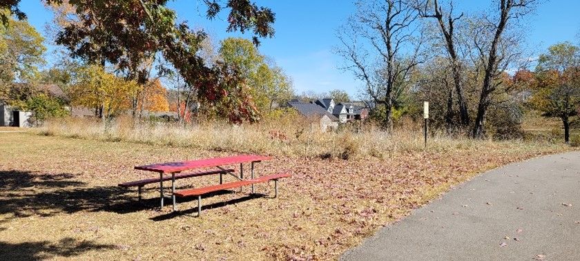 Waverly Park Invasive Removal