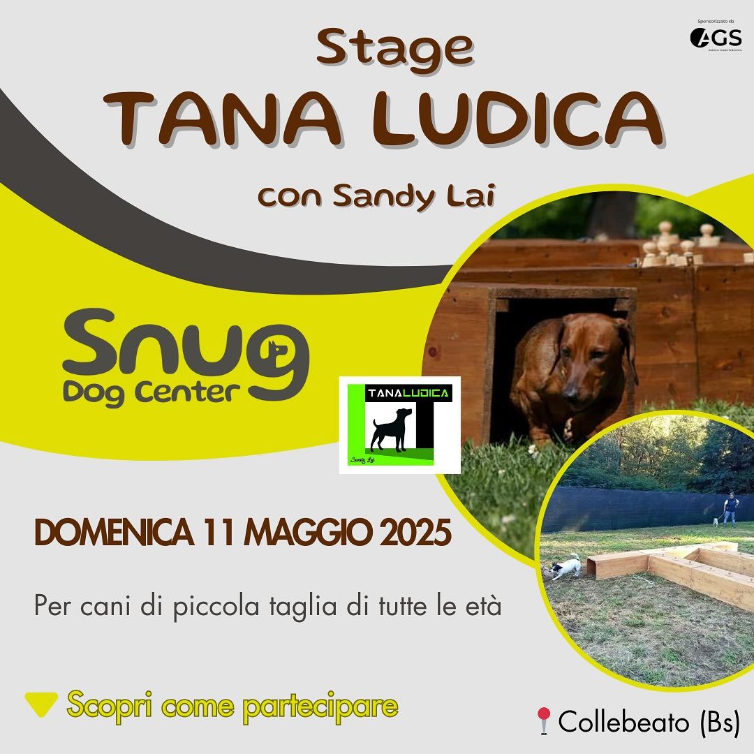 TANA LUDICA con Sandy Lai