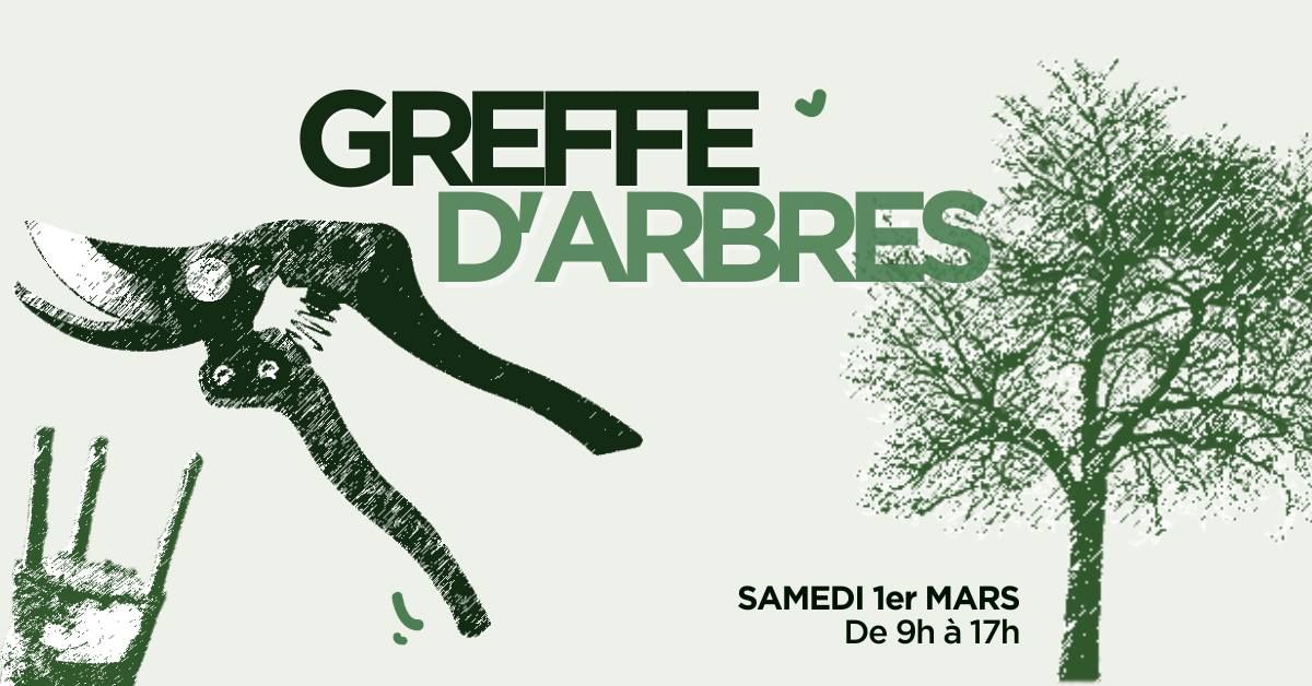 FORMATION : Greffe d'arbres