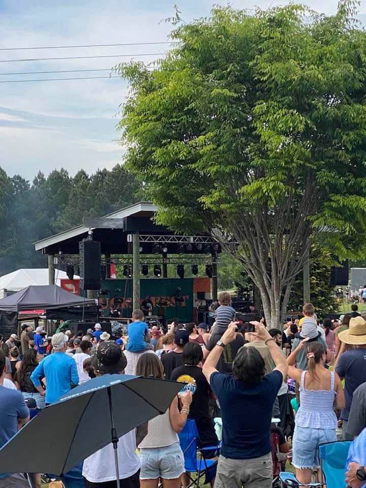 Tangerine Trees: A Beatles Cover Band