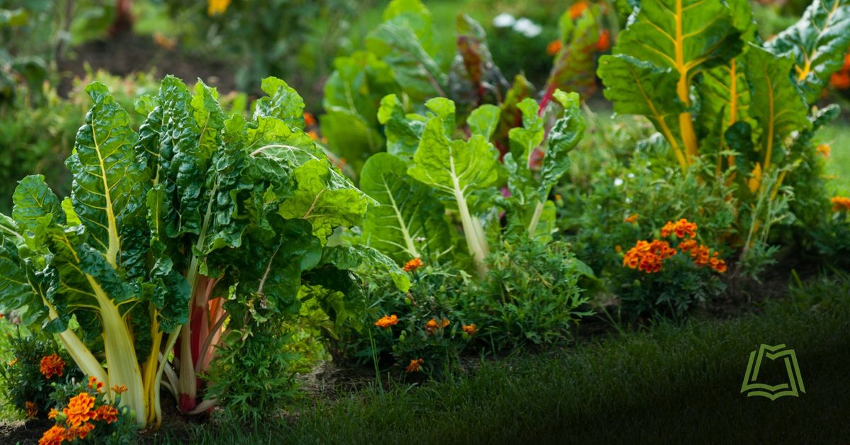 Master Gardener Series: Edible Landscaping