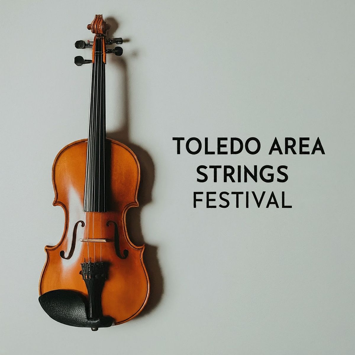 Toledo Area String Festival