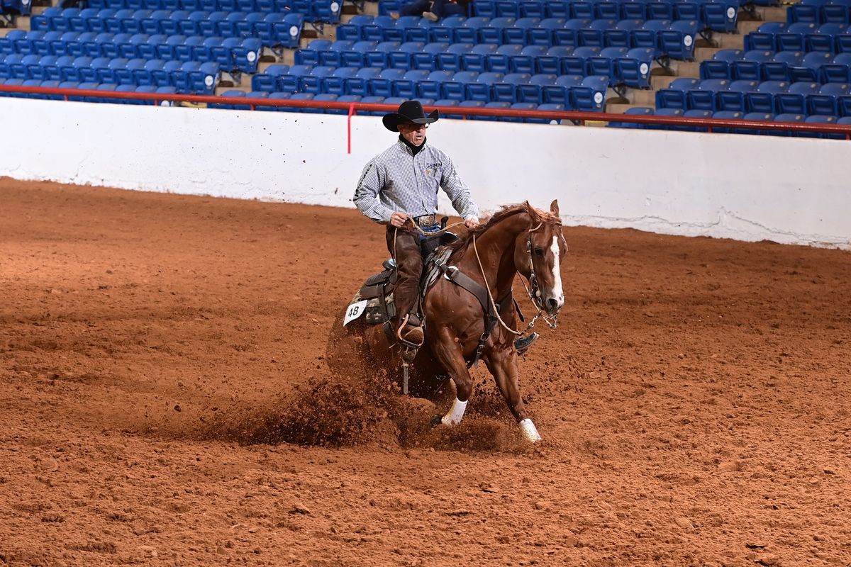 FWSSR AQHA & NRHA Reining