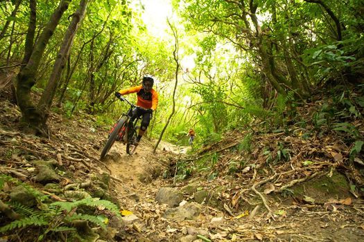 Wainuiomata Mountain Bike Park 2024 www.alhudapk