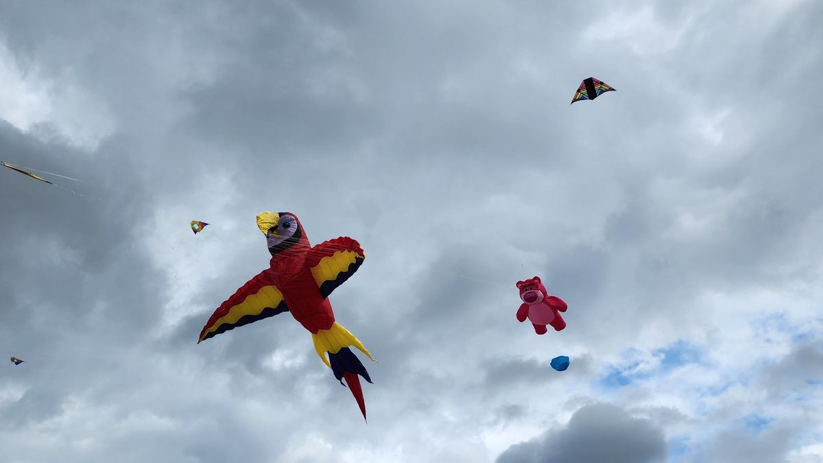 One Sky, One World Kite Fly