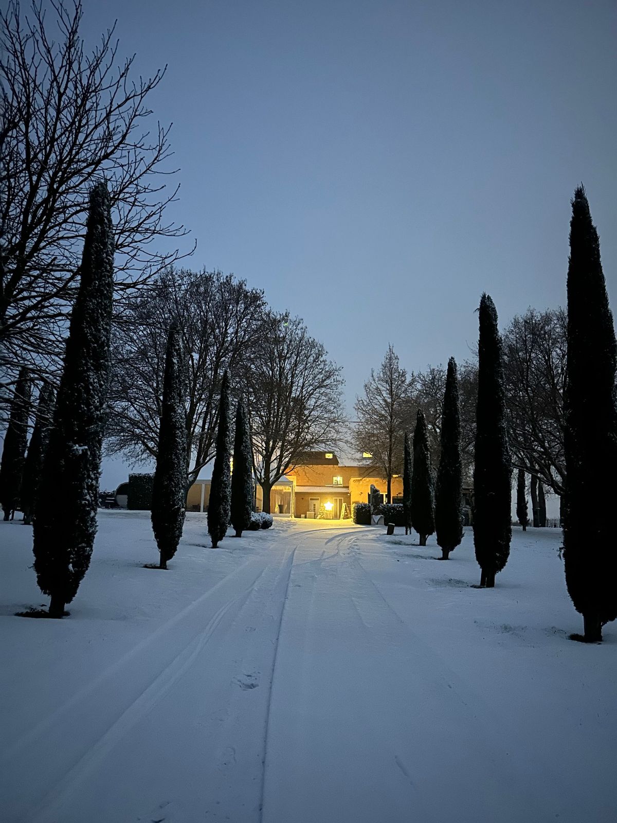 Nikolaus im Weingut