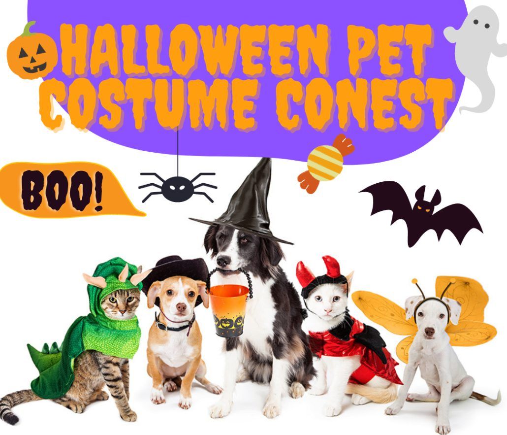 Halloween Pet Costume Contest hosted by Ron and Tara