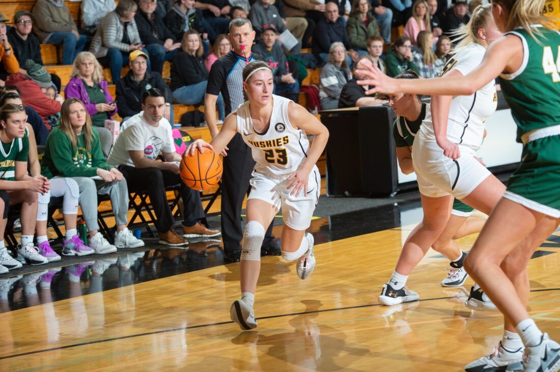 Michigan Tech Huskies at Wayne State Warriors Womens Volleyball