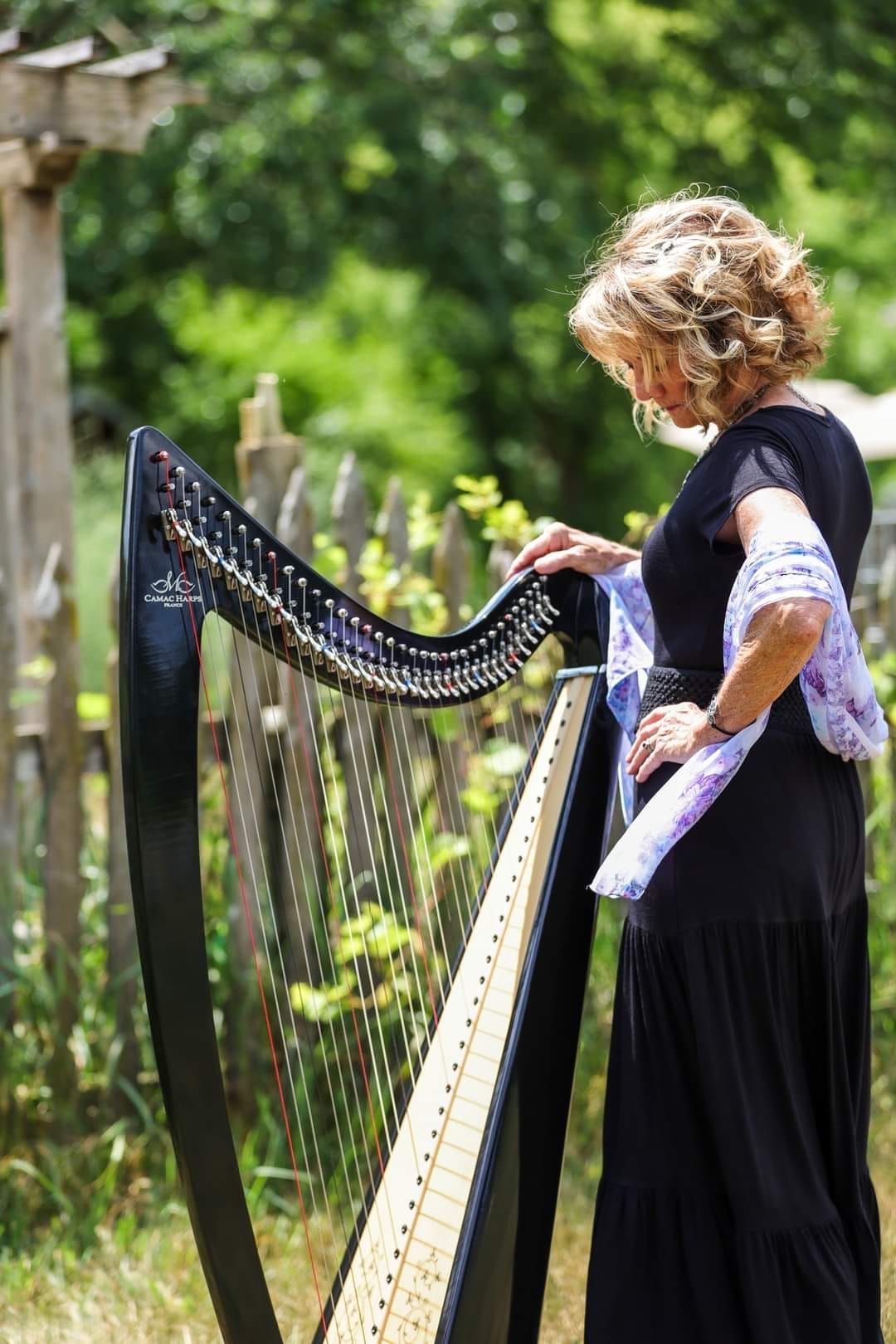 Shari Sarazin- folk harp, song and storytelling 