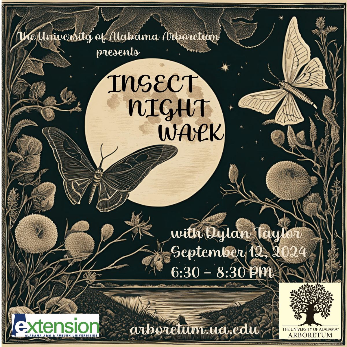 Insect Night Walk