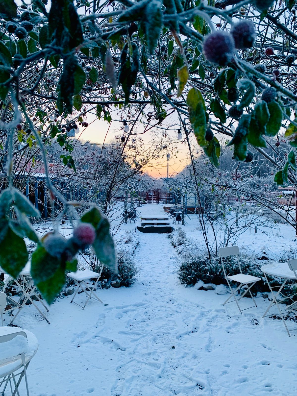 Vintervikens Julmarknad