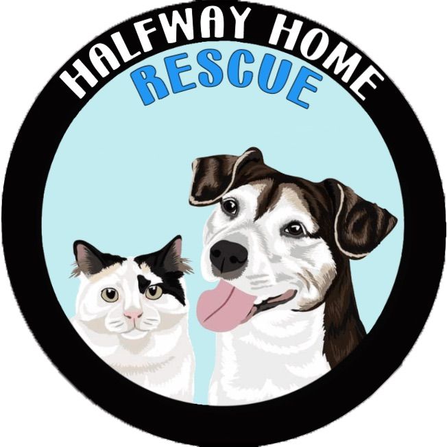 Mission Monday: Halfway Home Rescue Adoption Event